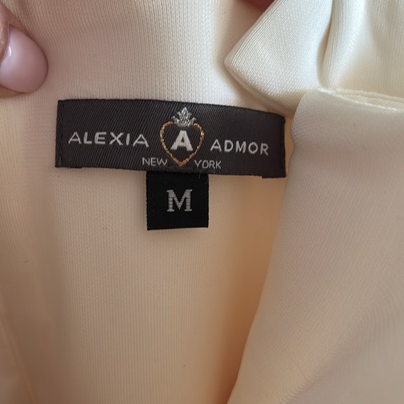 Alexia Admore zipper dress with pockets size M worn once - Picture 8 of 8